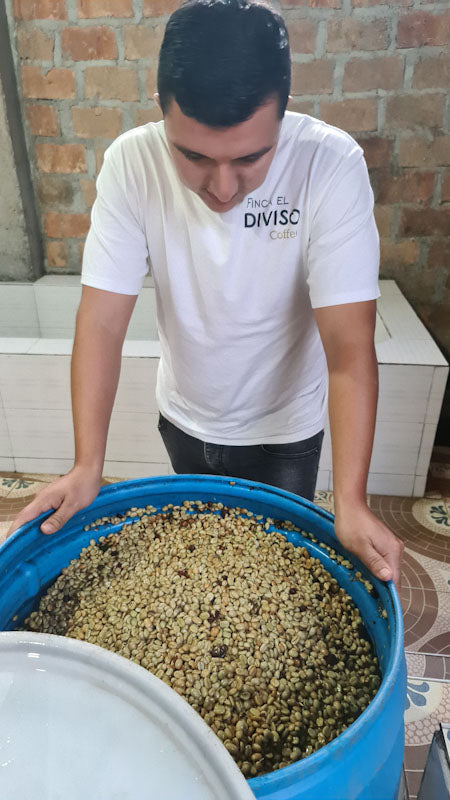Colombia - Ombligon Decaf - Nestor Lasso
