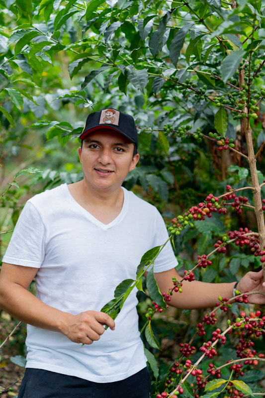 Colombia - Ombligon Decaf - Nestor Lasso