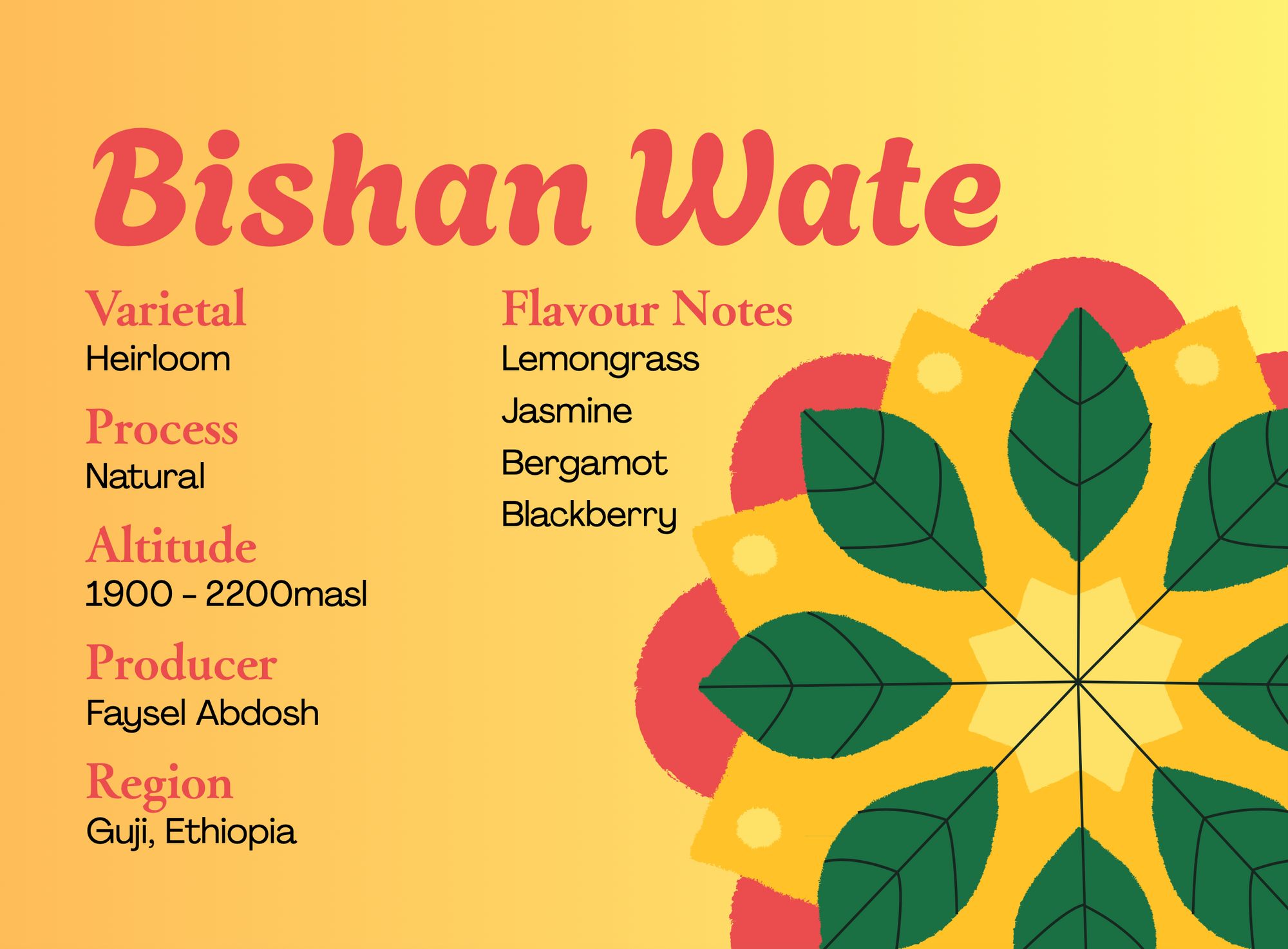 Ethiopia - Bishan Wate - Natural