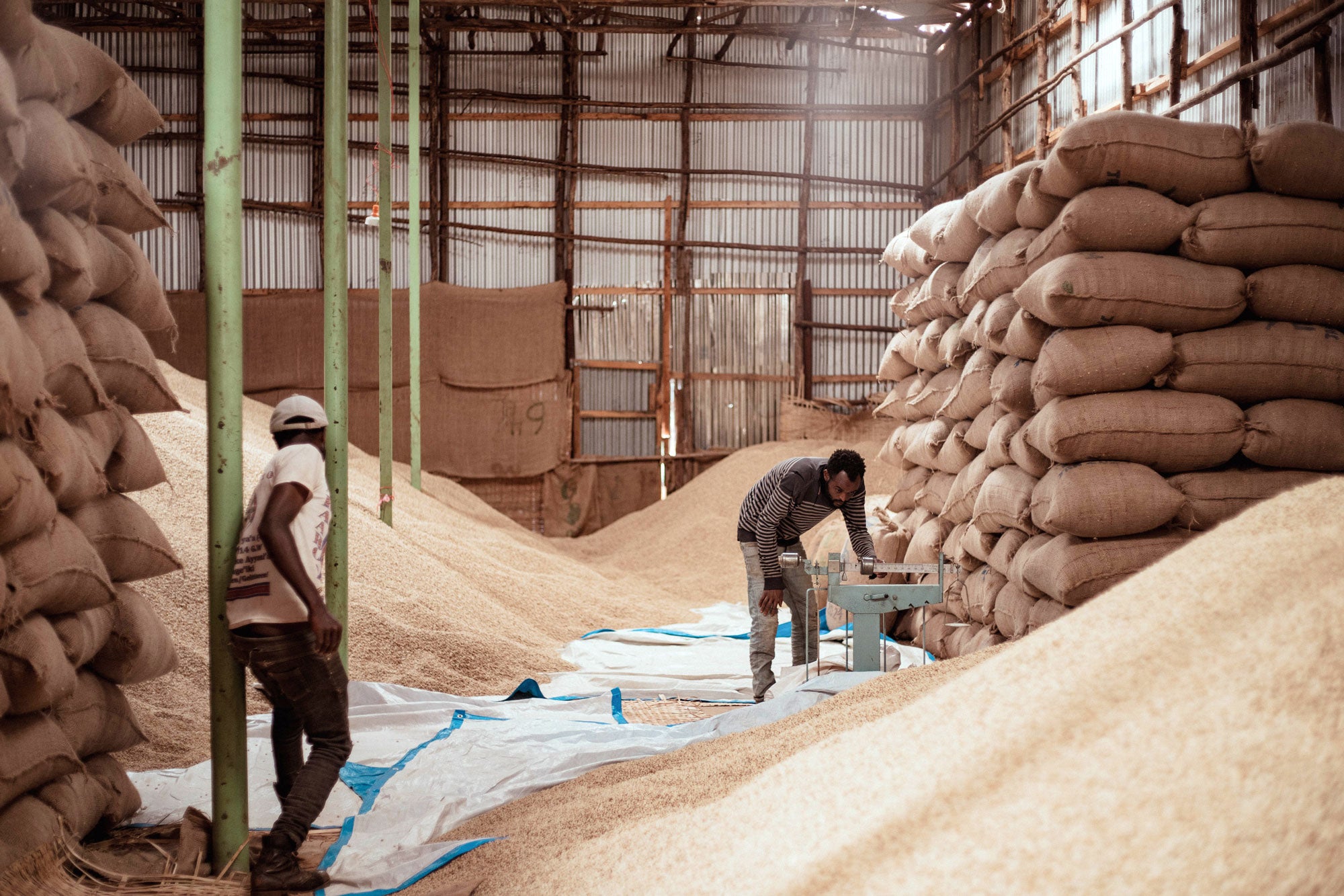 Ethiopia - Bishan Wate - Natural