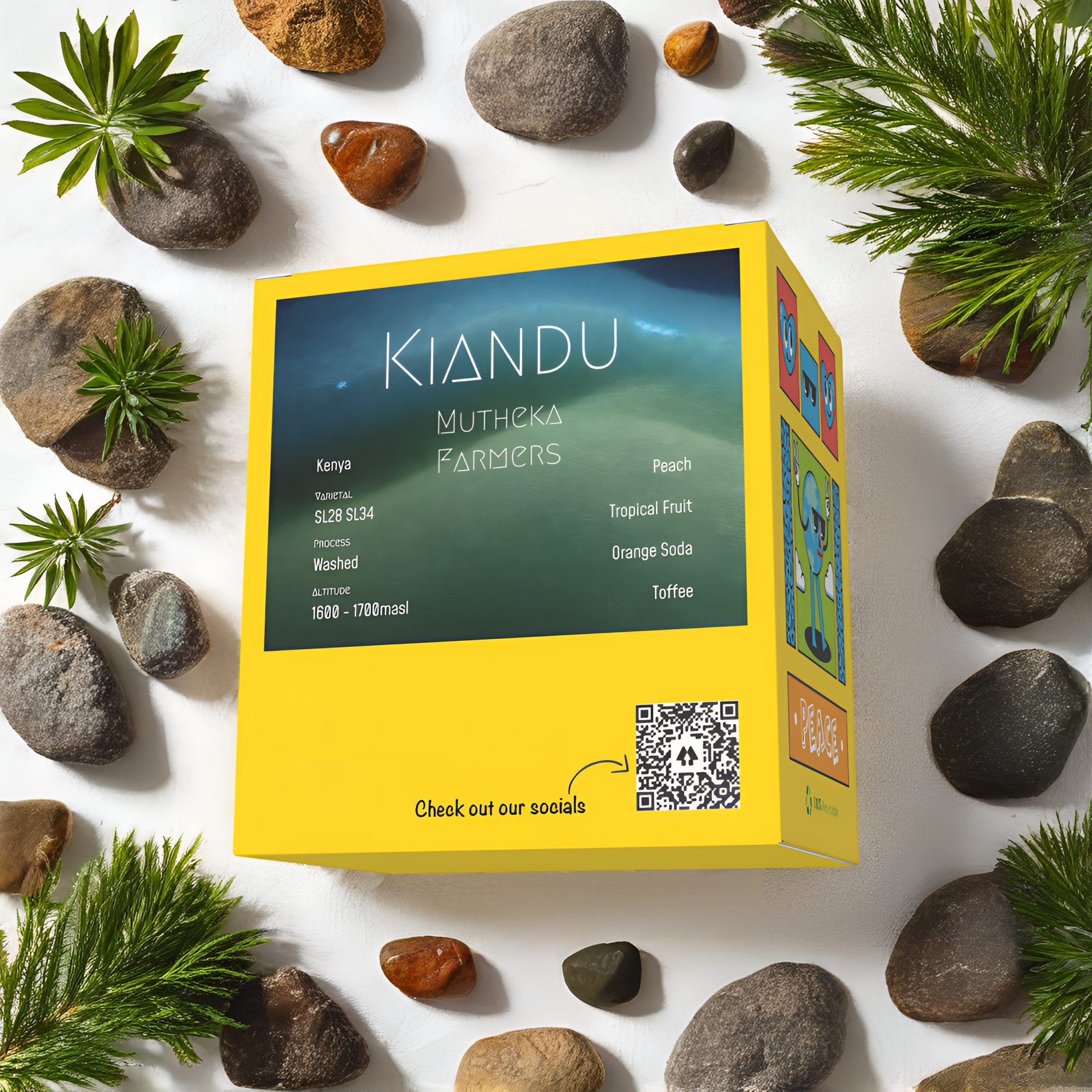 Kenya - Kiandu AB - Washed