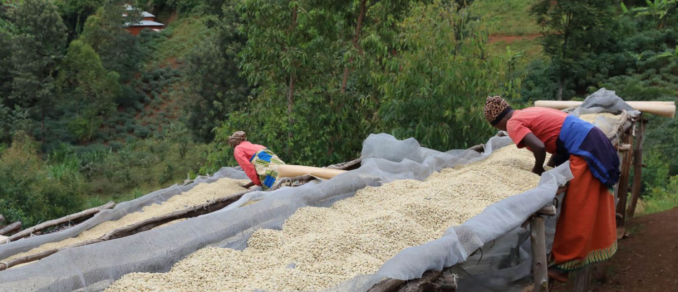 Burundi -Migoti - Natural