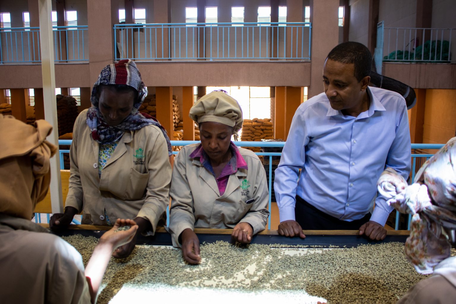Ethiopia - Bishan Wate - Natural