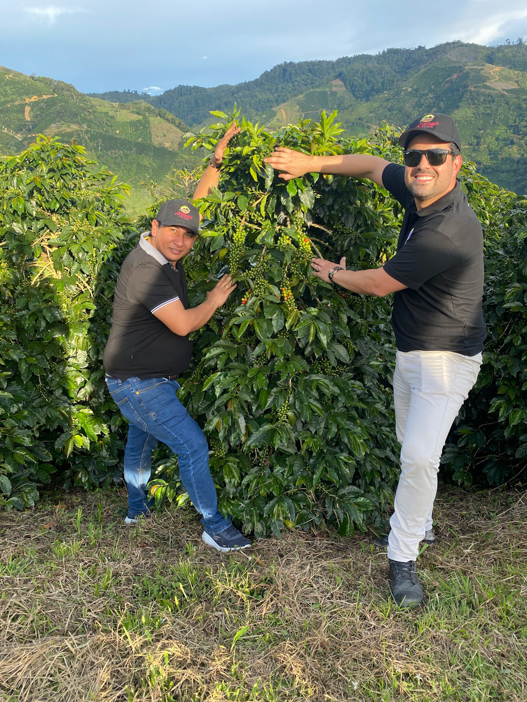 Colombia - Coconut Lemonade - Purple Caturra