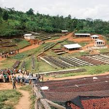 Burundi - Karambo Hill - Natural